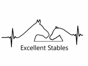Logo Excellent Stables - paardrijschool - manage